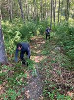 two people clearing a trail through brush in a forest