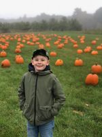 A child posing in front of a field of pumpkins
