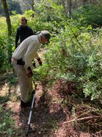 two people clearing a trail through brush in a forest