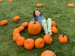 A child playing in pumpkins