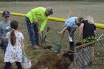 a group of people digging a hole with shovels