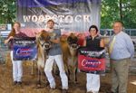 four people posing with two brown cows